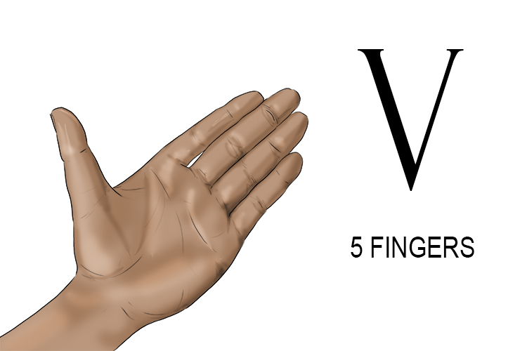 The `V`-shape made by the thumb and forefinger represented five fingers (the number five).